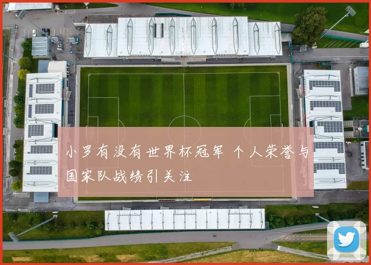 小罗有没有世界杯冠军 个人荣誉与国家队战绩引关注