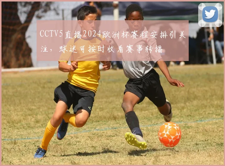 CCTV5直播2024欧洲杯赛程安排引关注,球迷可按时收看赛事转播