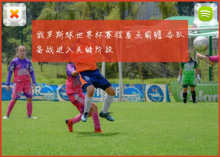 俄罗斯球世界杯赛程看点前瞻 各队备战进入关键阶段
