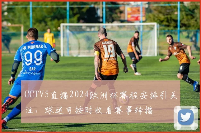 CCTV5直播2024欧洲杯赛程安排引关注，球迷可按时收看赛事转播