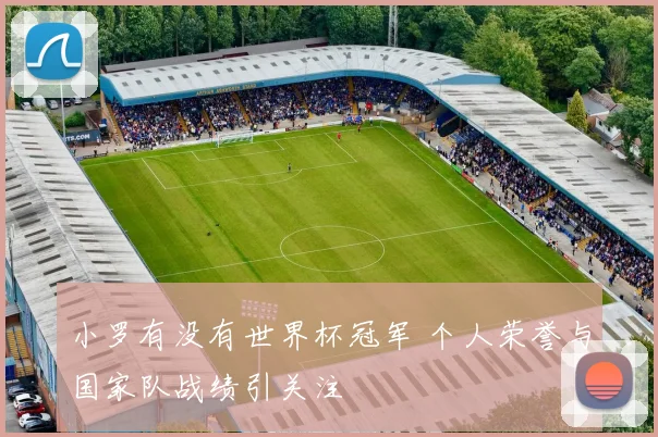 小罗有没有世界杯冠军 个人荣誉与国家队战绩引关注