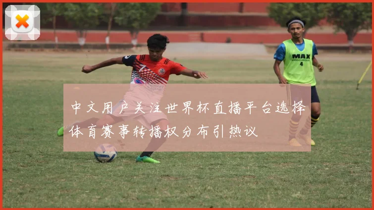 中文用户关注世界杯直播平台选择体育赛事转播权分布引热议