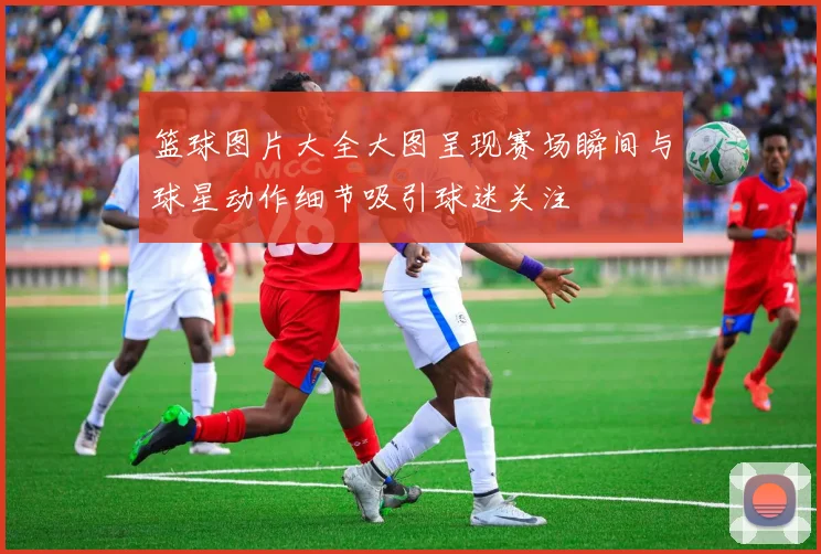 篮球图片大全大图呈现赛场瞬间与球星动作细节吸引球迷关注