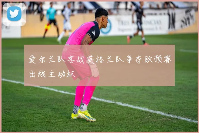 爱尔兰队客战英格兰队争夺欧预赛出线主动权