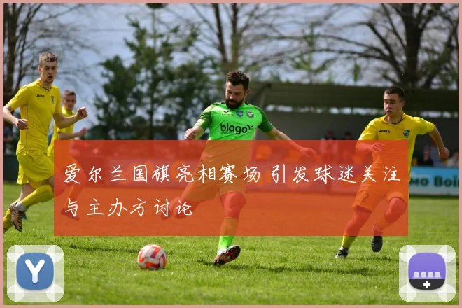 爱尔兰国旗亮相赛场 引发球迷关注与主办方讨论