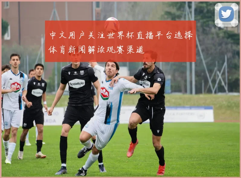 中文用户关注世界杯直播平台选择体育新闻解读观赛渠道