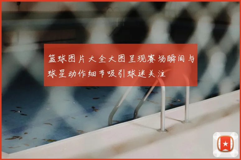 篮球图片大全大图呈现赛场瞬间与球星动作细节吸引球迷关注