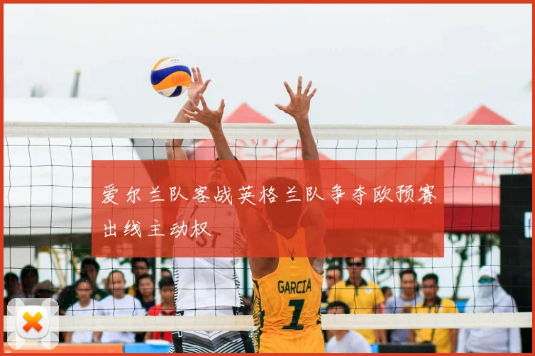 爱尔兰队客战英格兰队争夺欧预赛出线主动权