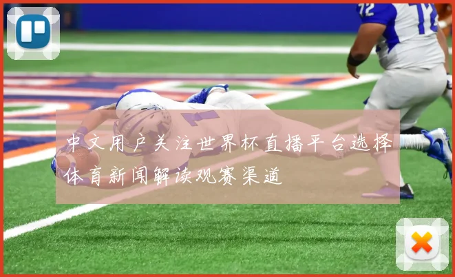 中文用户关注世界杯直播平台选择体育新闻解读观赛渠道