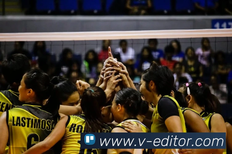 App Interface Preview